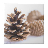 Pinecones Fliese (Vorderseite)