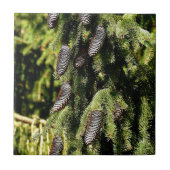 Pinecones Fliese (Vorderseite)