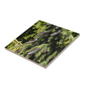 Pinecones Fliese (Seite)
