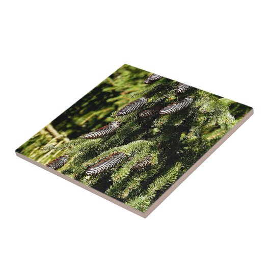 Pinecones Fliese (Seite)