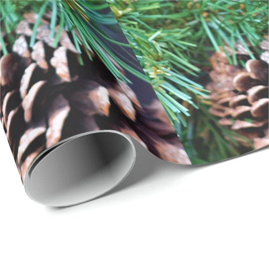 Pinecones Geschenkpapier (Rolleneckpunkt)
