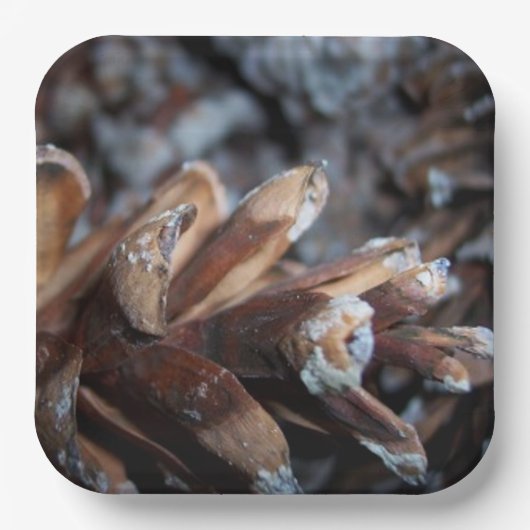 Pinecones Herbst Natur serviert Pappteller (Vorderseite)