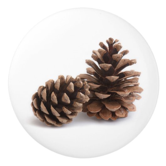 Pinecones Keramikknauf (Vorderseite)