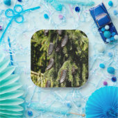 Pinecones Pappteller (Party)