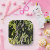 Pinecones Pappteller (Party)