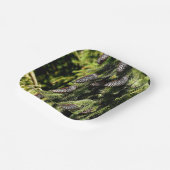 Pinecones Pappteller (Gewinkelt)