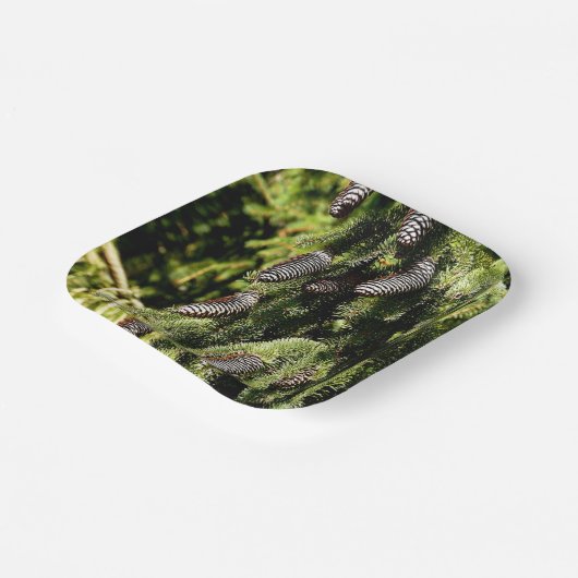 Pinecones Pappteller (Gewinkelt)