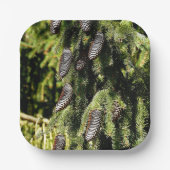 Pinecones Pappteller (Vorderseite)