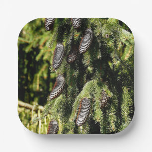 Pinecones Pappteller