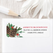 Pinecones Piazza della Riforma Blätter (Insitu)