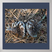 Pinecones Poster (Vorne)