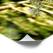 Pinecones Poster (Ecke)