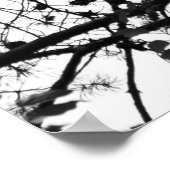 PineCones Poster (Ecke)