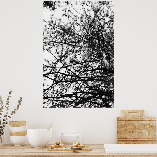 PineCones Poster (Küche)