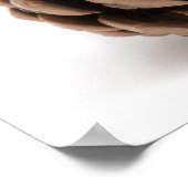 Pinecones Poster (Ecke)