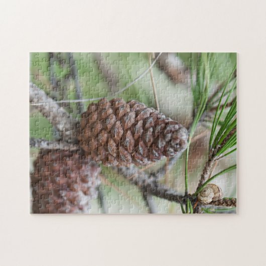 Pinecones Puzzle (Horizontal)