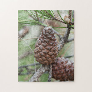 Pinecones Puzzle