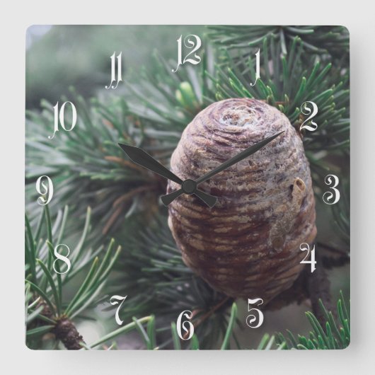 Pinecones Quadratische Wanduhr (Vorderseite)