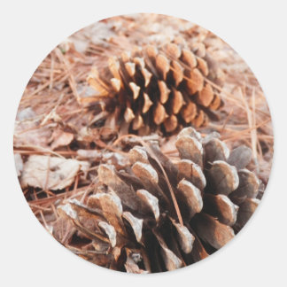 Pinecones Runder Aufkleber
