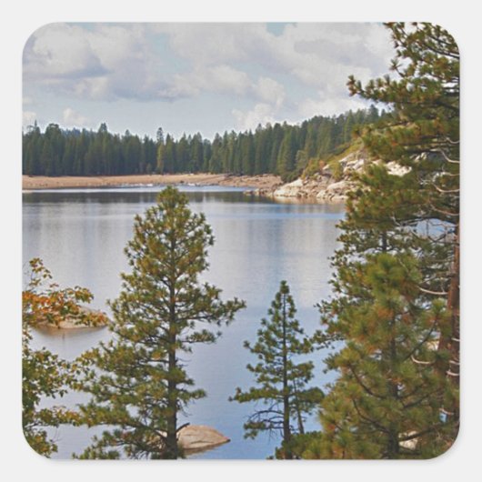 Pinecrest Lake California im August Quadratischer Aufkleber (Vorderseite)