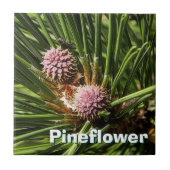 Pineflower Fliese (Vorderseite)