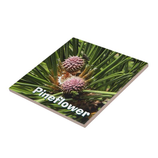 Pineflower Fliese (Seite)