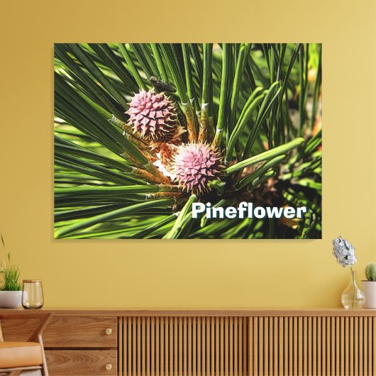Pineflower Leinwanddruck (Insitu (Wohnzimmer))