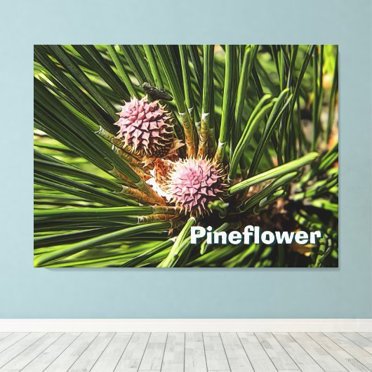 Pineflower Leinwanddruck (Insitu (Holzboden))