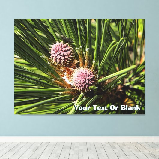 Pineflower Leinwanddruck (Insitu (Holzboden))