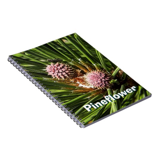 Pineflower Notizblock (Rechte Seite)
