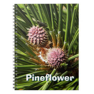 Pineflower Notizblock