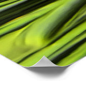 Pineflower Poster (Ecke)