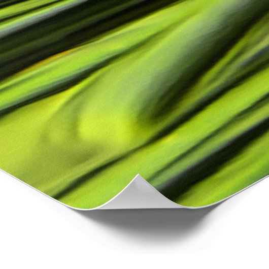 Pineflower Poster (Ecke)