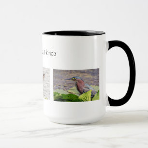 Pinellas Landkreis-Florida-wild lebende Tiere Tasse
