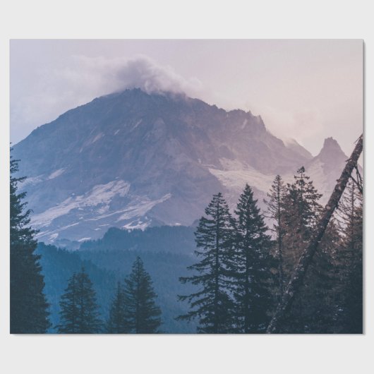 PINENBÄUME GESCHENKPAPIER (Flach)