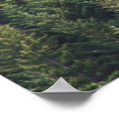 PINENBAUWALD POSTER (Ecke)