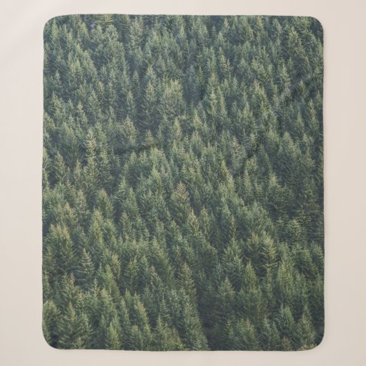 PINENBAUWALD SHERPADECKE (Vorderseite)