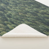 PINENBAUWALD SHERPADECKE (3/4)