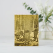 Pineries of Michigan Goodridge Brothers Saginaw MI Postkarte (Stehend Vorderseite)