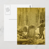 Pineries of Michigan Goodridge Brothers Saginaw MI Postkarte (Vorne/Hinten)