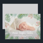 Pines Christmas Baby Foto Geburtshinweise<br><div class="desc">Elegant süße Geburtshinweise zeigen Ihr Lieblingsbaby-Foto mit einem Rand von Kiefern und Beeren,  dem Namen Ihres Babys,  der Geburtsstatistik und den Namen der Eltern in jeder Schriftart- und Schriftart-Farbe. Ändern Sie die Farbe auf der Rückseite und fügen Sie mehr Fotos auf der Rückseite auch!</div>