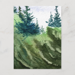 "Pines in Spring" Landstraße Postkarte