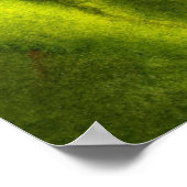 Pines on a Hill #2 Art Print Poster (Ecke)