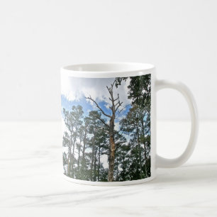 Pines on Beach Nature Trail OBX NC Kaffeetasse