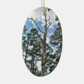Pines on Beach Nature Trail OBX NC Keramikornament (Rechts)
