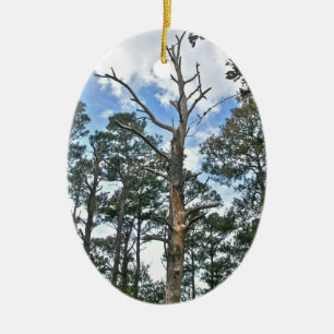 Pines on Beach Nature Trail OBX NC Keramikornament