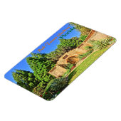 Pinewood Anwesen Fossilienmuseum Monte San Giorgio Magnet (Linke Seite)