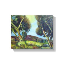 PINEWOOD IN DER Toskana