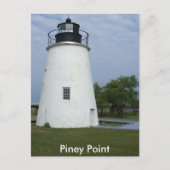 Piney Point Lighthouse Postkarte (Vorderseite)