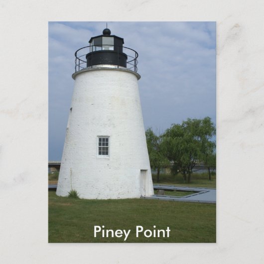 Piney Point Lighthouse Postkarte (Vorderseite)